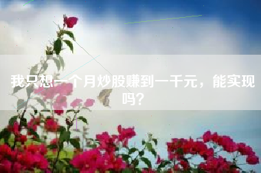 我只想一个月炒股赚到一千元，能实现吗？
