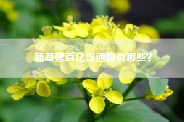 新基建百亿流通股有哪些？
