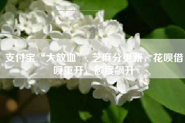 支付宝“大放血”, 芝麻分更新，花呗借呗重开，额度飙升
