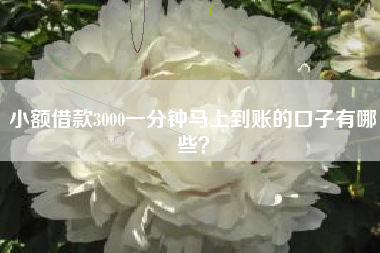 小额借款3000一分钟马上到账的口子有哪些？
