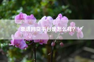 靠谱网贷平台是怎么样？