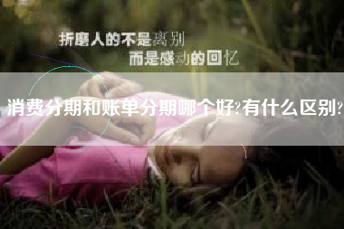 消费分期和账单分期哪个好?有什么区别?