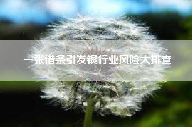 一张借条引发银行业风险大排查