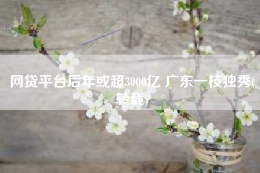 网贷平台后年或超3000亿 广东一枝独秀(转载)