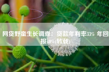 网贷野蛮生长调查：贷款年利率33% 年回报40%(转载)