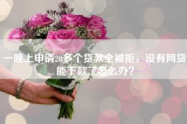 一晚上申请20多个贷款全被拒，没有网贷能下款了怎么办？