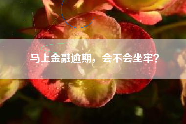 马上金融逾期，会不会坐牢？