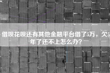 借呗花呗还有其他金融平台借了5万，欠5年了还不上怎么办？