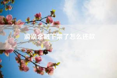 滴滴金融下架了怎么还款