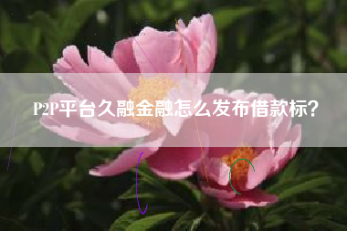 P2P平台久融金融怎么发布借款标？