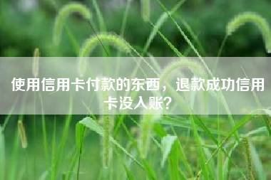 使用信用卡付款的东西，退款成功信用卡没入账？