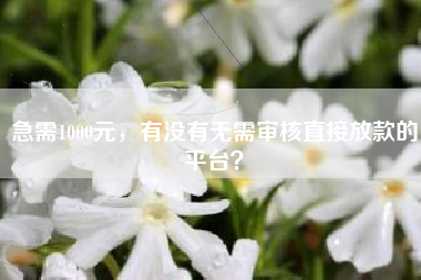急需1000元，有没有无需审核直接放款的平台？