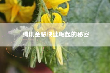 腾讯金融快速崛起的秘密