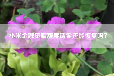 小米金融贷款额度清零还能恢复吗？