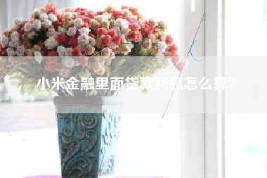 小米金融里面贷款利息怎么算？