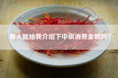有人能给我介绍下中银消费金融吗？