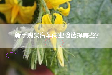 新手购买汽车商业险选择哪些？