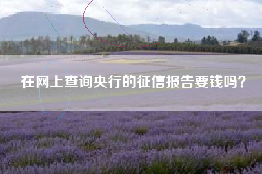 在网上查询央行的征信报告要钱吗？