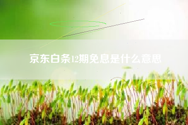 京东白条12期免息是什么意思