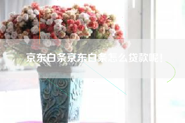 京东白条京东白条怎么贷款呢！