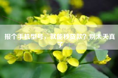 报个手机型号，就能秒贷款？别太天真了