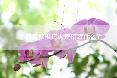 小额贷款推广大使招募什么？