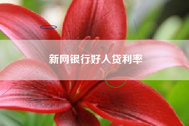 新网银行好人贷利率