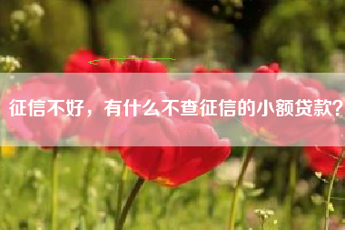 征信不好，有什么不查征信的小额贷款？