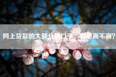 网上贷款的大额分期口子，利息高不高？