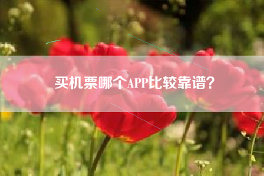 买机票哪个APP比较靠谱？