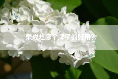 集成灶哪个牌子的好用？