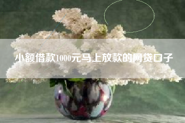 小额借款1000元马上放款的网贷口子