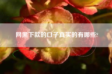 网黑下款的口子真实的有哪些?