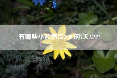 有哪些小额借钱2000的7天APP?