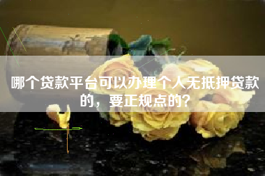 哪个贷款平台可以办理个人无抵押贷款的，要正规点的？