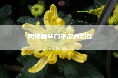 网贷哪些口子能借到钱