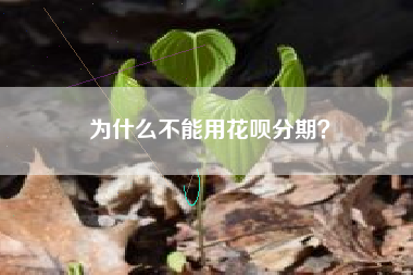 为什么不能用花呗分期？
