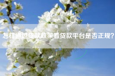 怎样通过贷款政策看贷款平台是否正规？