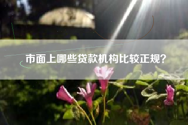 市面上哪些贷款机构比较正规？