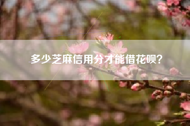 多少芝麻信用分才能借花呗？