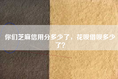 你们芝麻信用分多少了，花呗借呗多少了？
