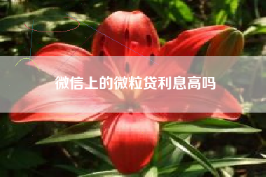 微信上的微粒贷利息高吗