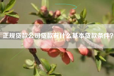 正规贷款公司贷款有什么基本贷款条件？