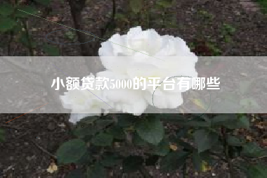 小额贷款5000的平台有哪些