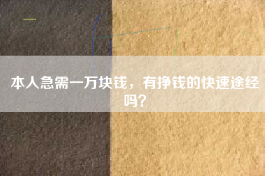 本人急需一万块钱，有挣钱的快速途经吗？