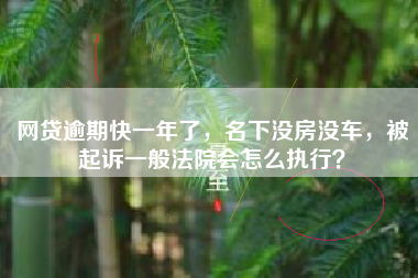 网贷逾期快一年了，名下没房没车，被起诉一般法院会怎么执行？
