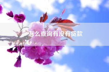 怎么查询有没有贷款