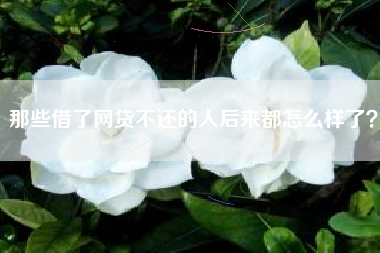 那些借了网贷不还的人后来都怎么样了？