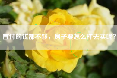 首付的钱都不够，房子要怎么样去买呢？