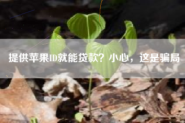 提供苹果ID就能贷款？小心，这是骗局